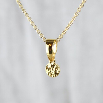 Mønt vedhæng halskæde