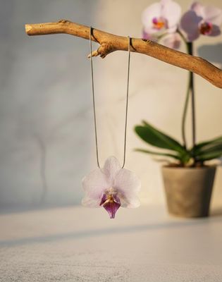 Collar orquídea blanca