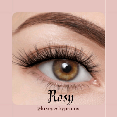 Faux cils - Rosy