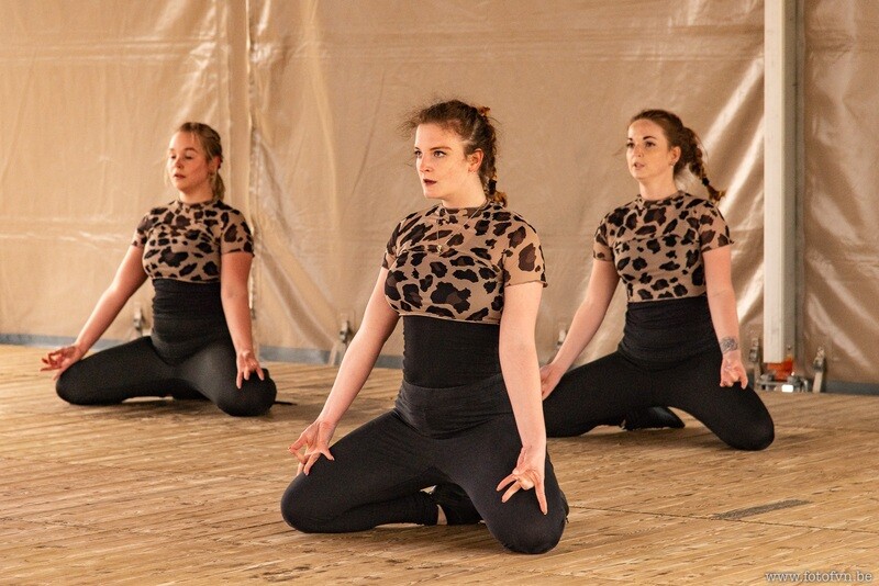 Crop top, panter (8)