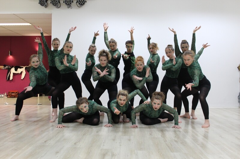 Crop top, groen, slang (15)