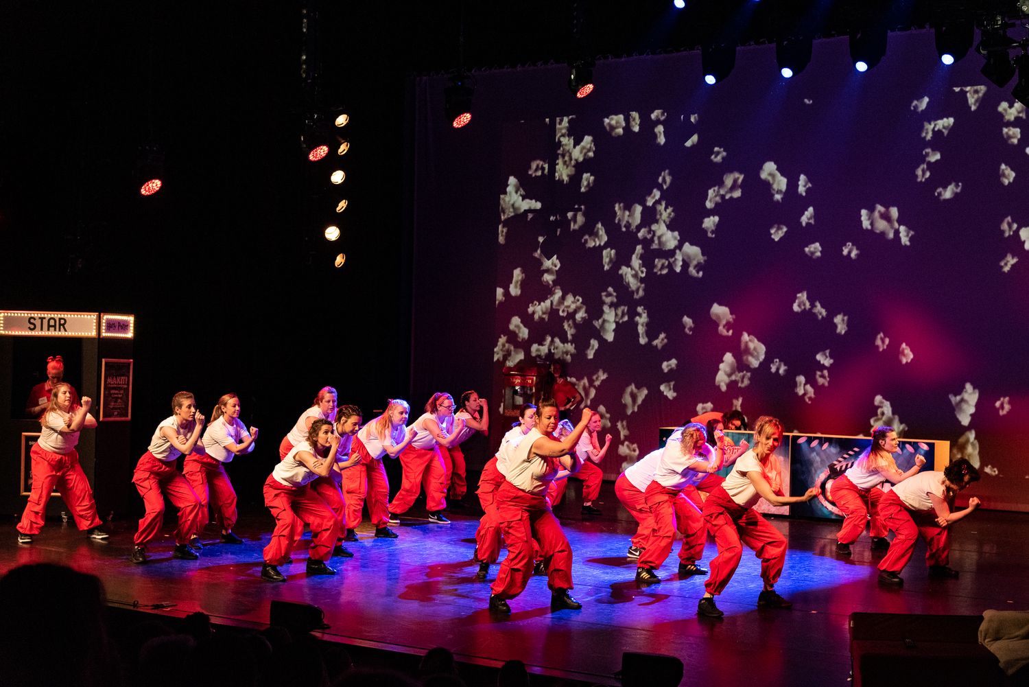 Broek, rood (zowel licht als donker) (20)
