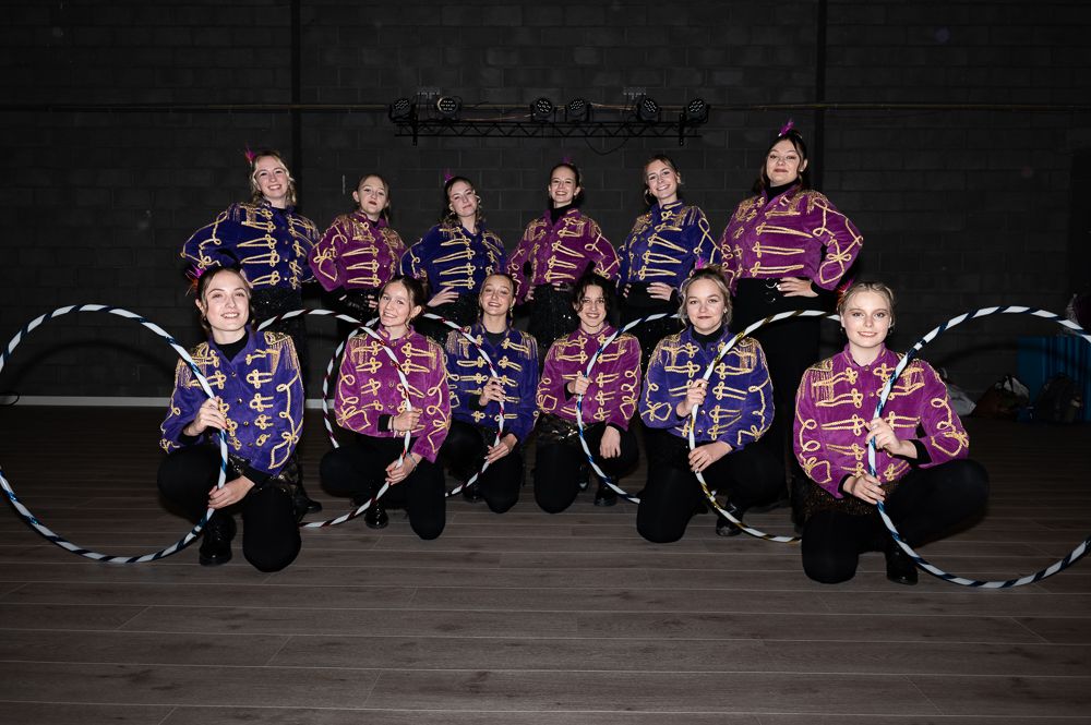 Vest, paars (14)