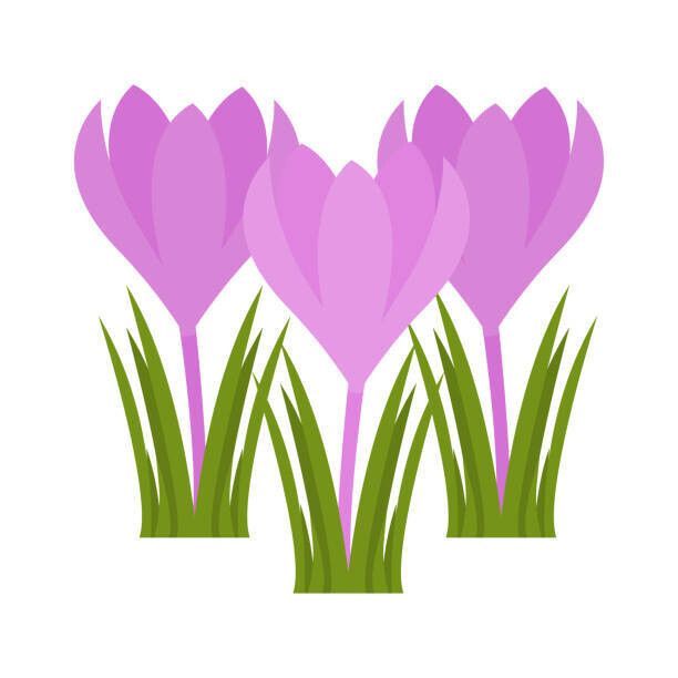 Dans, speel en knutselstage KROKUS 17 tem 19 februari 2026