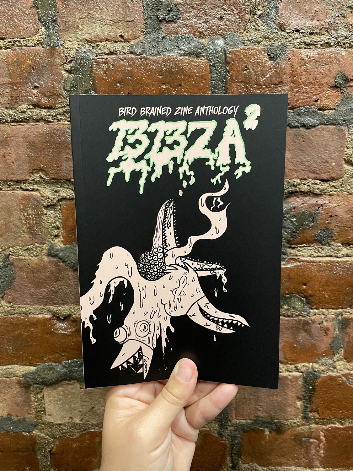 Bird Brained Zine Anthology #2