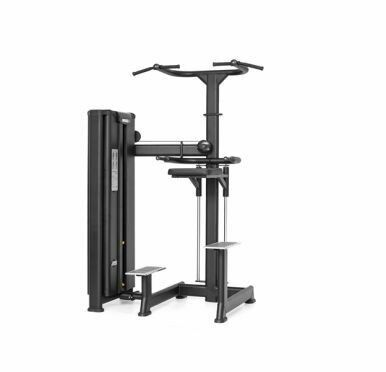 MS Assisted Dip/Chins BioMotion MS Assisted Dip/Chins BioMotion