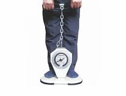 Saehan Back-Leg-Chest Dynamometer