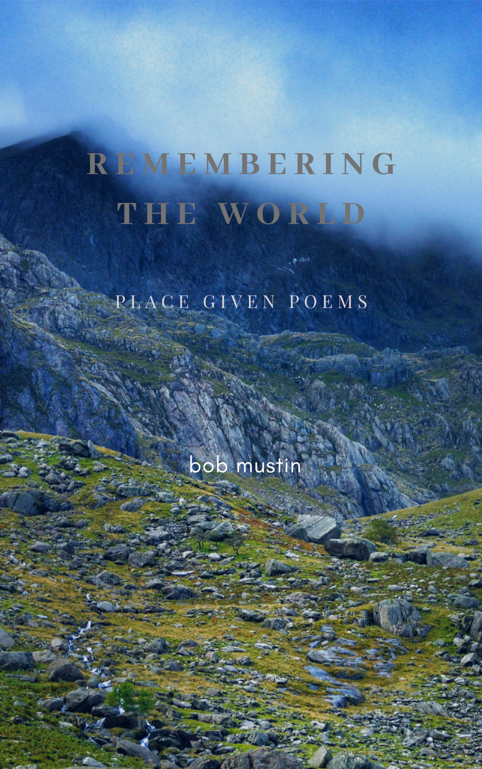Remembering The World - Place Given Poems