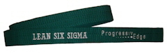 Lean Six SIgma Green Belt (ProgressivEdge, Inc.)