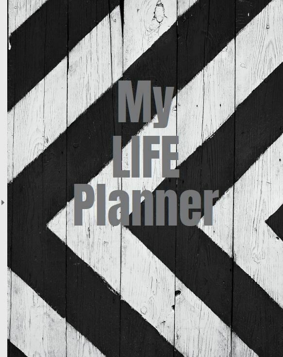 LIFE PLANNER:  BLACK AND WHITE ARROW