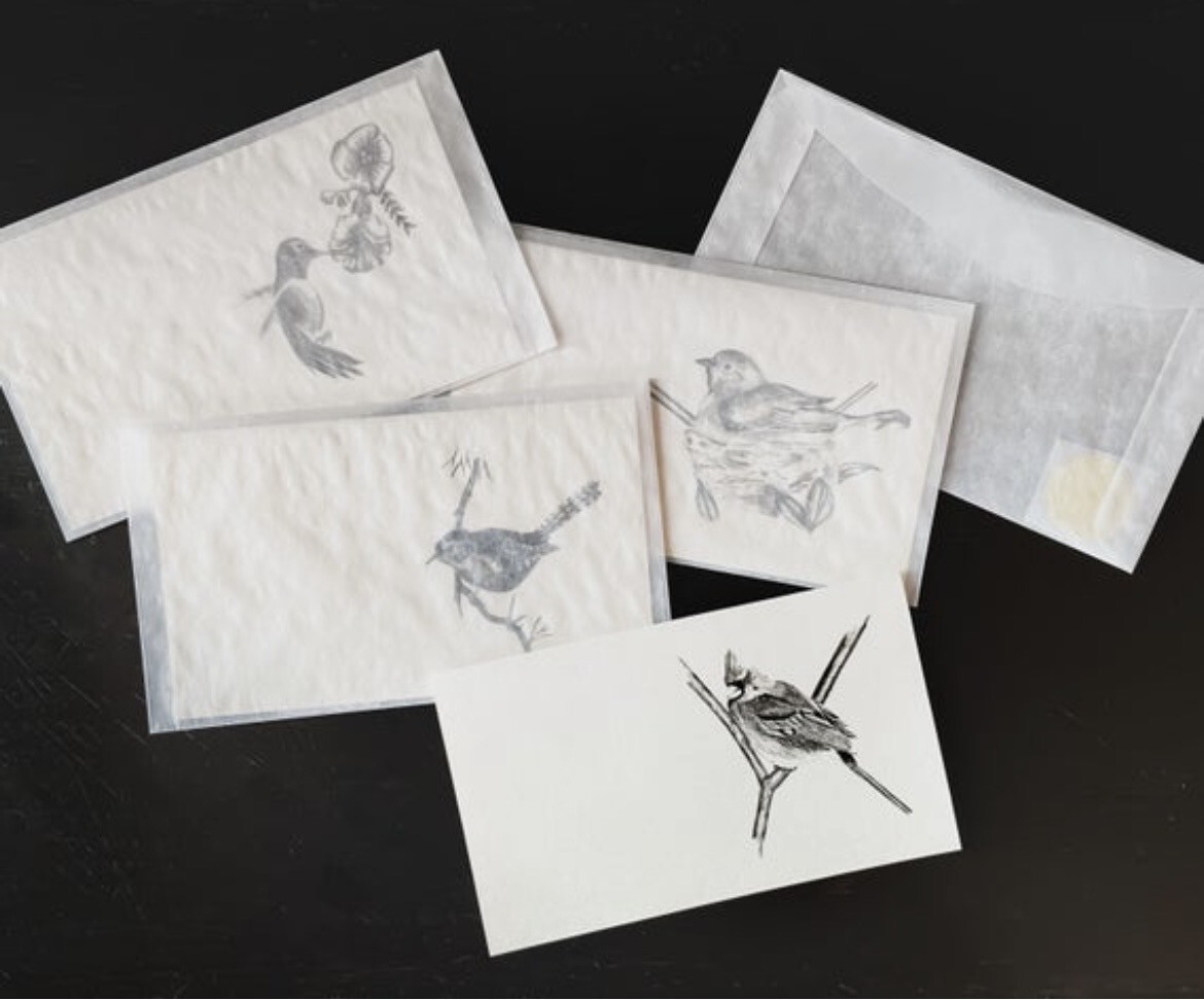 Bird Sketch Stationary Art Note Cards - Set of 8 (2 Of Each Image) With Envelopes 