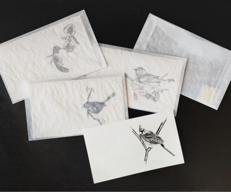 Bird Sketch Stationary Art Note Cards - Set of 8 (2 Of Each Image) With Envelopes 