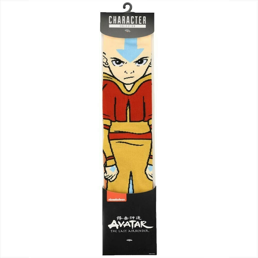 Avatar: The Last Airbender | Aang | 360-Degree Character Crew Socks
