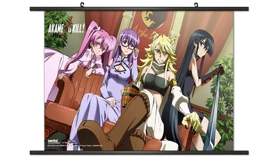 Akame Ga Kill | Night Raid Team's Girl Members | Wall Scroll