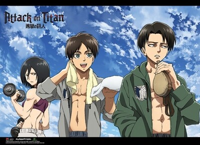 Attack On Titan | Eren, Mikasa, & Levi - Working Out | Wall Scroll