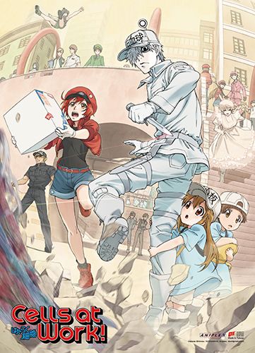 Cells At Work | Main Characters - Key Art | Wall Scroll