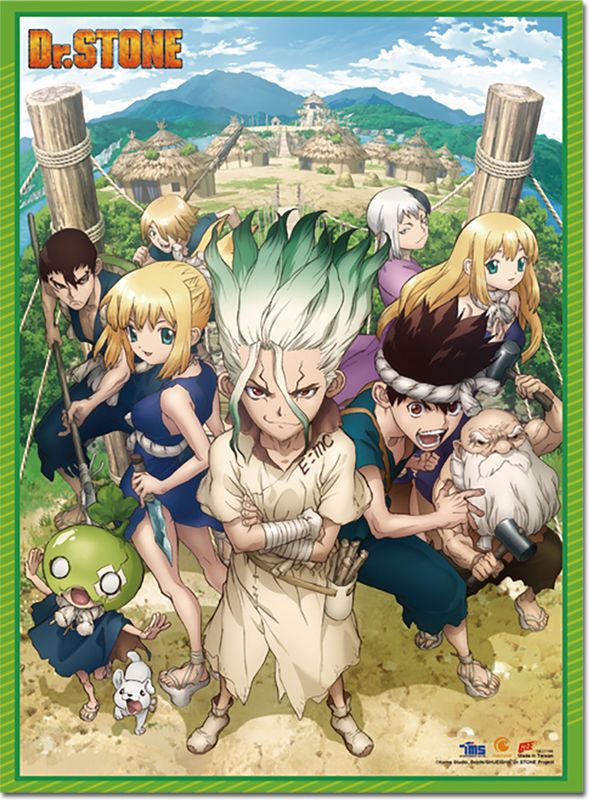 Dr. Stone | Main Characters - Key Art | Wall Scroll