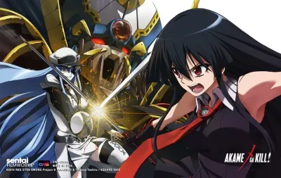 Akame Ga Kill | Esdeath Vs. Akame | Wall Scroll