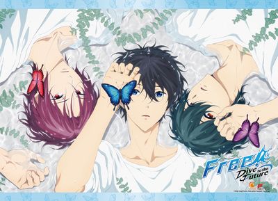 Free!S3 - Group_Fantasy Style Wall Scroll