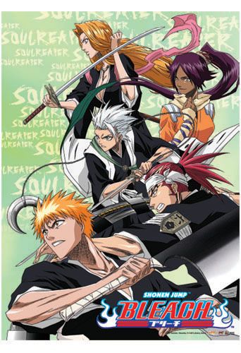 Bleach Soul Reaper Wall Scroll