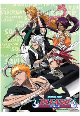 Bleach Soul Reaper Wall Scroll