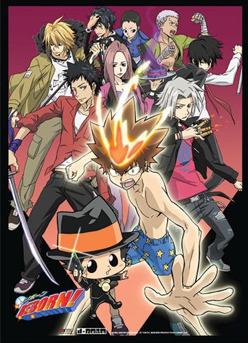 Reborn! - Group D Wallscroll