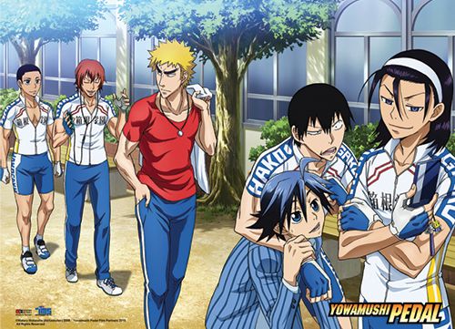 Yowamushi Pedal - Team Hakogaku Wallscroll