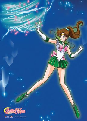 Sailor Moon - Gray Single Shot Wallscroll
