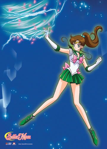 Sailor Moon - Gray Single Shot Wallscroll