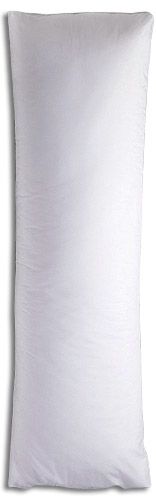 Great Eastern - Blank Pillow
