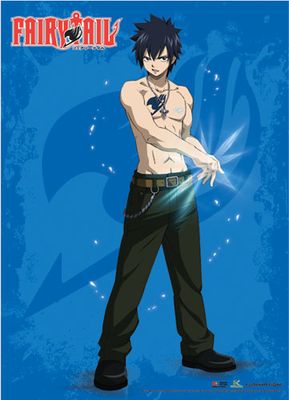 Fairy Tail - Gray Single Shot Wall Scroll