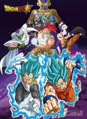Dragon Ball Super - Resurrection F Group 01 High-End Wallscroll Dragon Ball Super - Resurrection F Group 01 High-End Wallscroll