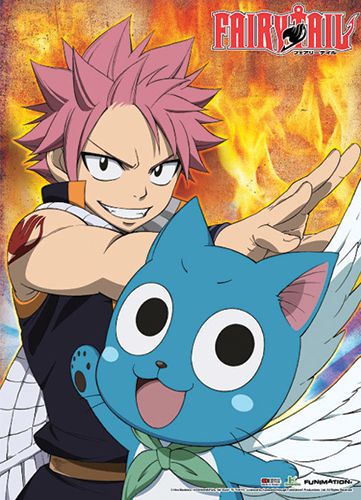 Fairy Tail - Natsu And Happy Fighting Wallscroll
