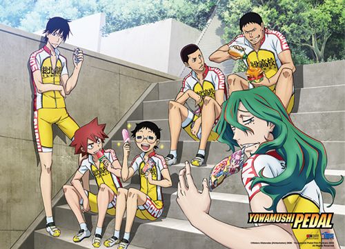 Yowamushi Pedal - Team Souhoku Wallscroll
