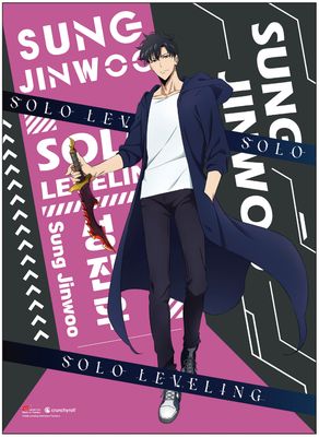 Solo Leveling - S Sung Jinwoo Wallscroll