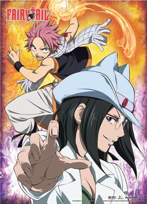Fairy Tail - Group 2 Wallscroll