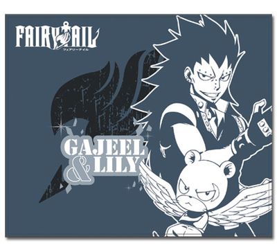 Fairy Tail S4 Gajeel & Lily Throw Blanket Fairy Tail S4 Gajeel & Lily Throw Blanket