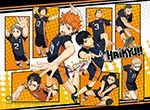 Haikyu!! - Group 2 High-End Wall Scroll