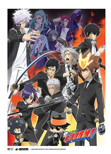 Reborn! - Group C Wallscroll