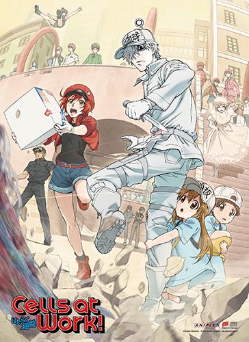 Cells At Work! - Key Art High End Wall Scroll