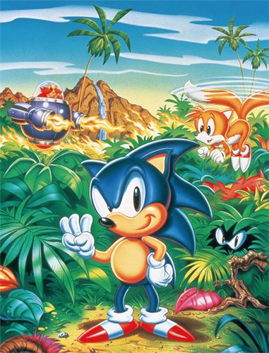 Sonic The Hedgehog - Group Jungle Sublimation Throw Blanket