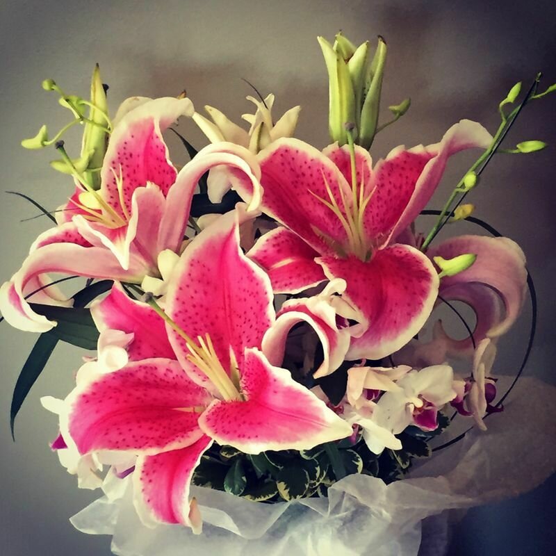 Star Gazer & Orchid Bridal Bouquet