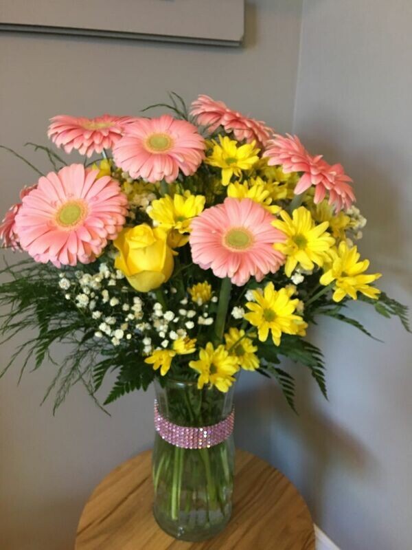 Gerbera & Dasies