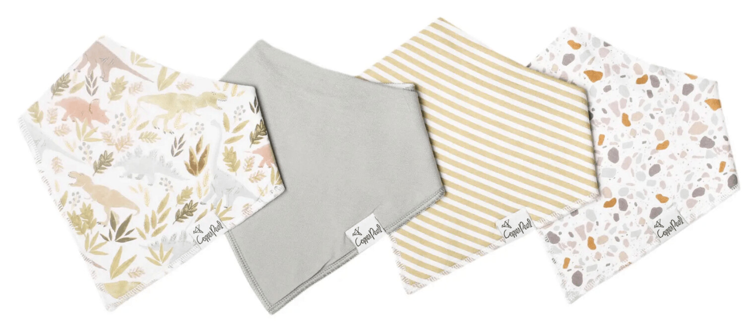 Rex Bandana Bib Set