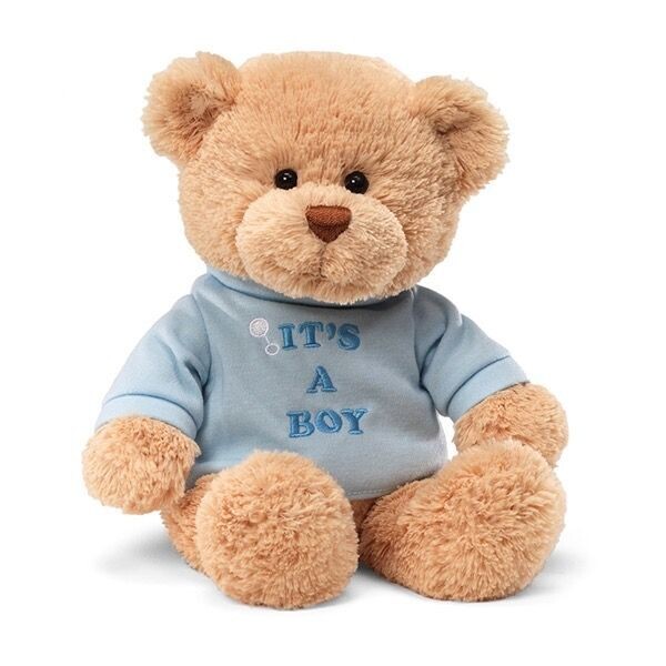 It's A Boy Bear