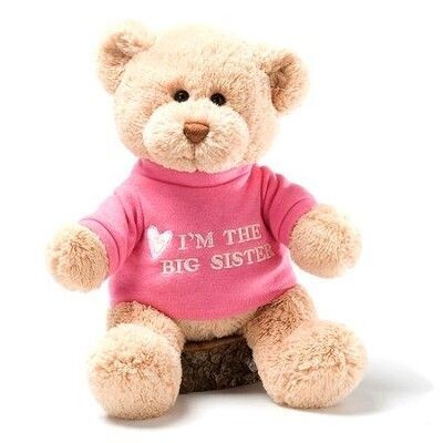 I'm The Big Sister Bear