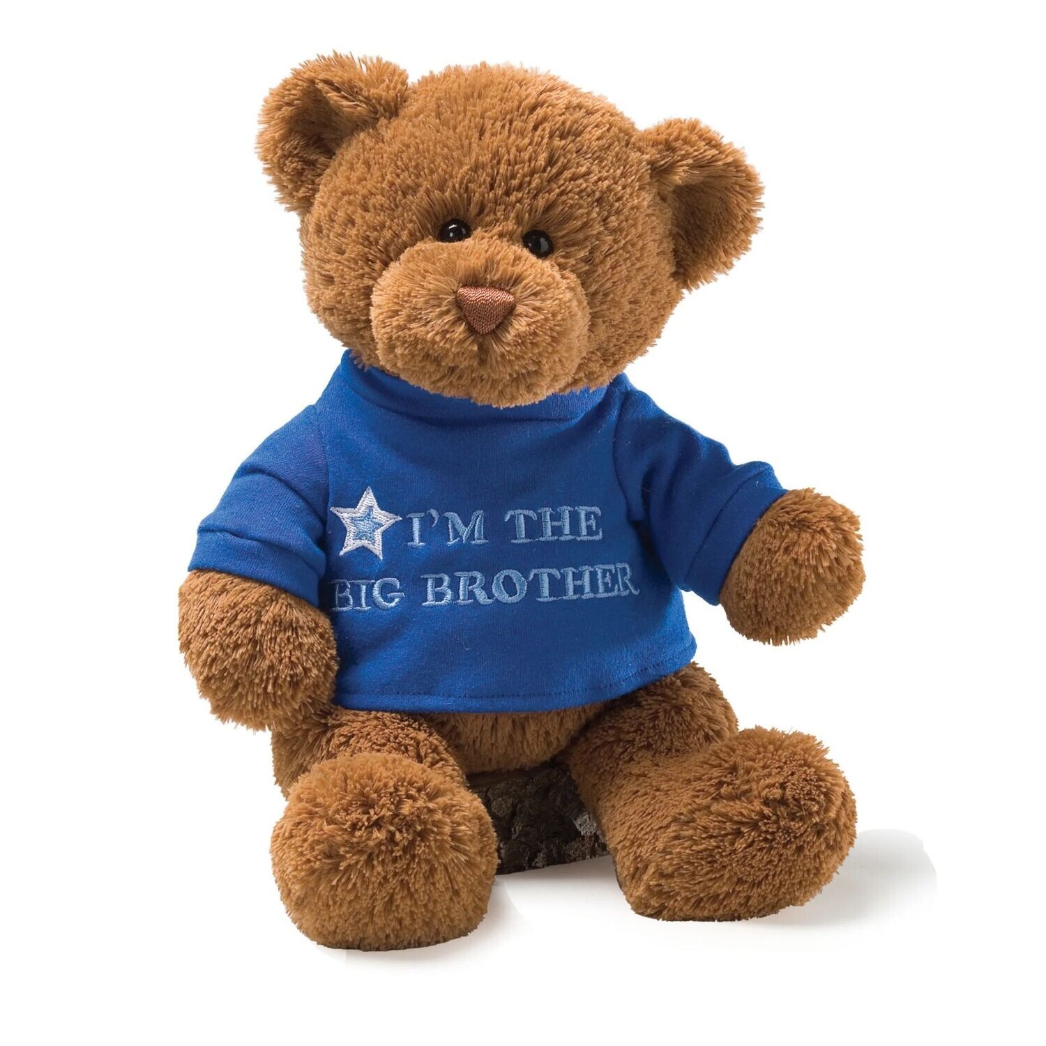 I'm The Big Brother Bear