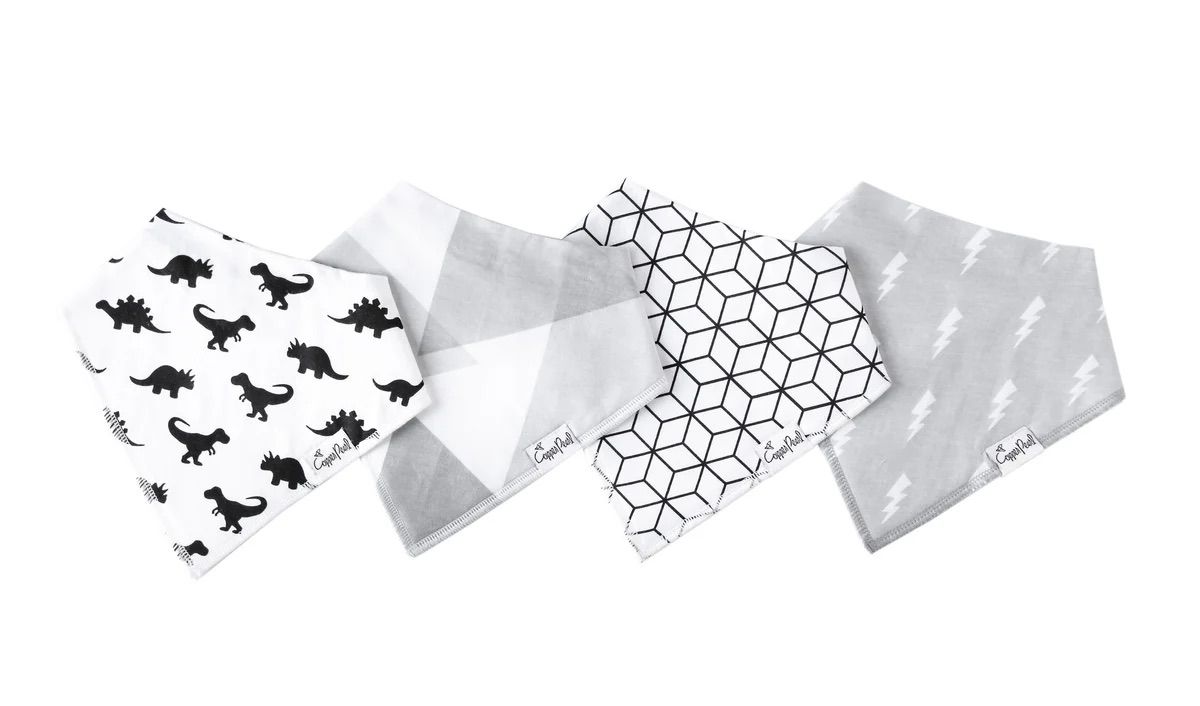 Baby Bandana Bibs- Wild