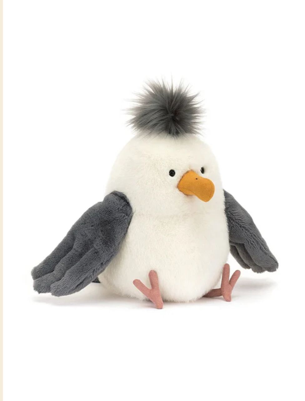 Chip Seagull