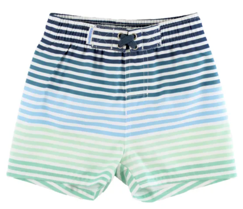 Coastal Stripe Swim Trunks